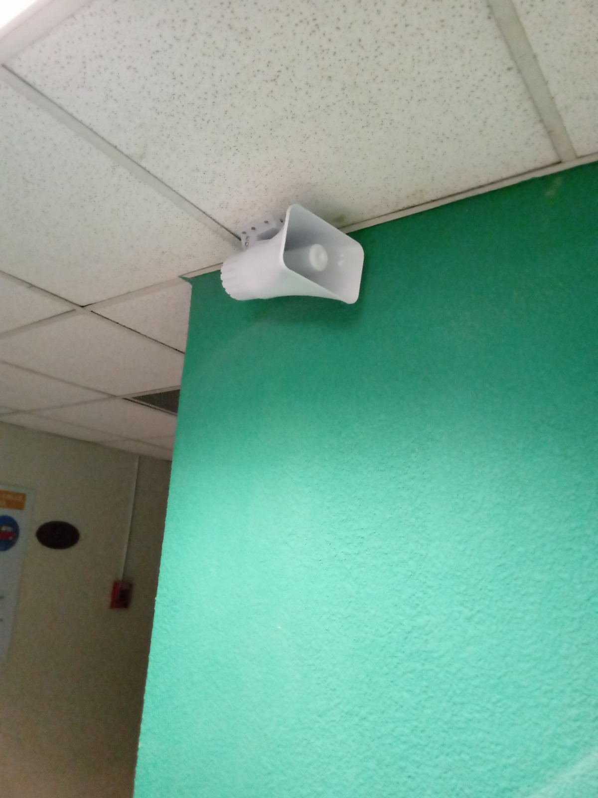 Trabajo realizado 5